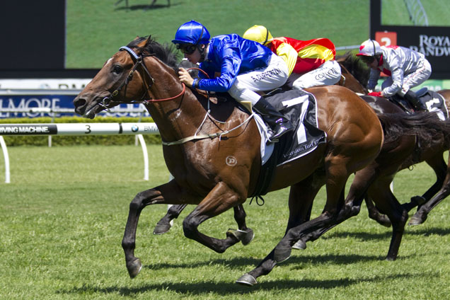 Hauraki will resume in the Tramway Handicap after pleasing in a barrier trial at Hawkesbury.