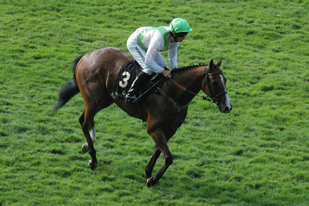 Heaven's Guest running in the Buckingham Palace Stakes (Handicap)