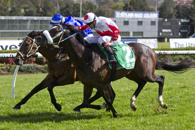 Hero I Am (inside) winning in Australia