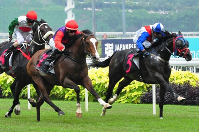 Irish-bred newcomer Holy Warrior (red cap) holds off Flash Gift to score on debut.