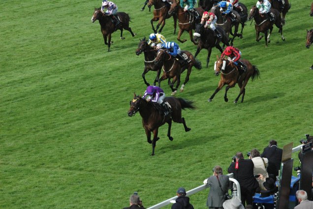 Hootenanny winning the Windsor Castle Stakes