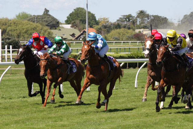 Huka Eagle (blue, center) winning the The Edge Afternoons Hcp.