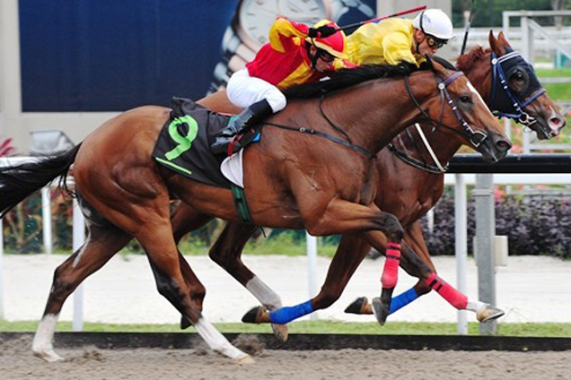 Huka Falls (Corey Brown) on the inside at his last win on January 12 when he edged out Pioneer Seven (Manoel Nunes).