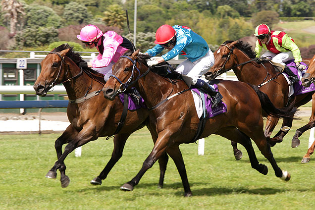 In Style (inner) winning the Lindauer Concorde Hcp.