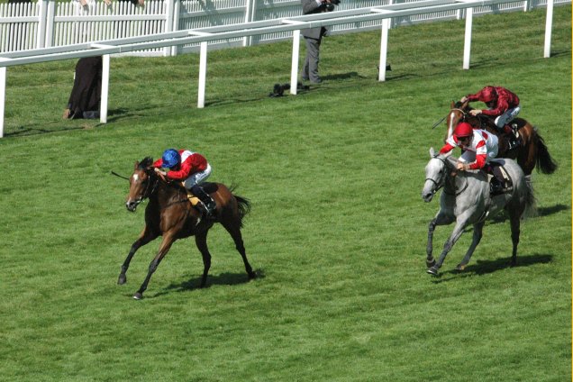 Integral winning the Duke Of Cambridge Stakes