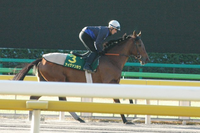 Ivanhowe on the traning track in Tokyo