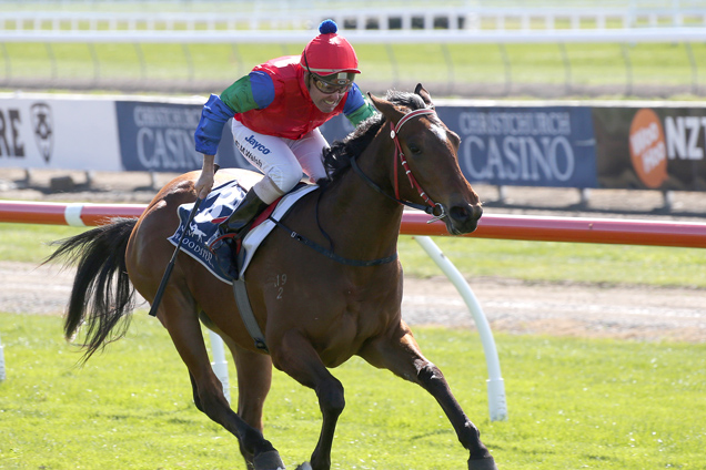 Jacquetta winning the Stallion Tender Options