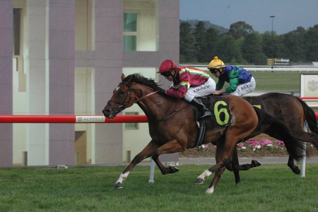 Jacquinot Bay winning the Canberra Cup