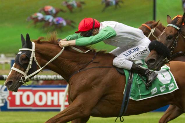 Junoob is chasing his first Group 1 win in the Doomben Cup on Saturday