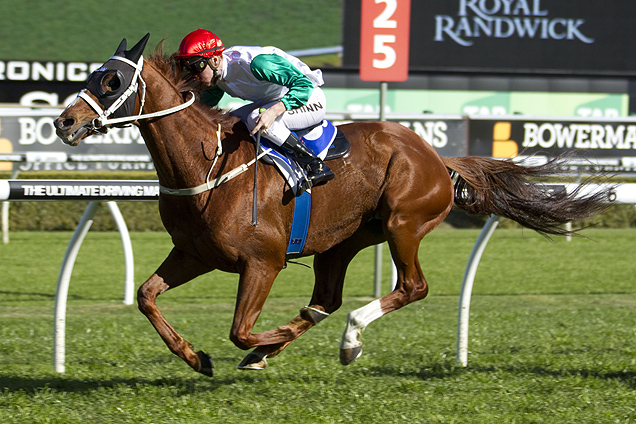 Junoob winning the Ascend Sales Hill Stakes