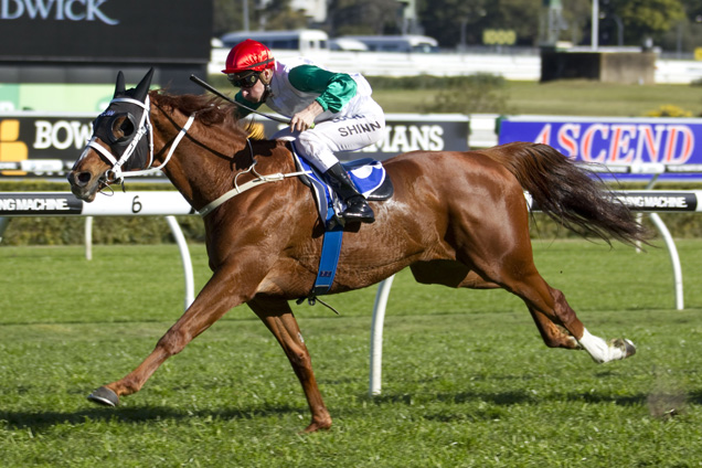 Junoob is topweight for Saturday's Summer Cup at Randwick.