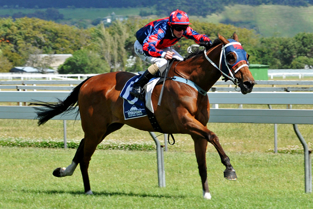 Just The Tip winning the Cambridge T'bred-Wanganui Cup