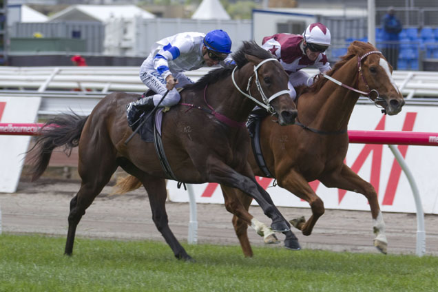 Form around Kermadec and Stratum Star jumps off the page for Manhattan Avenue