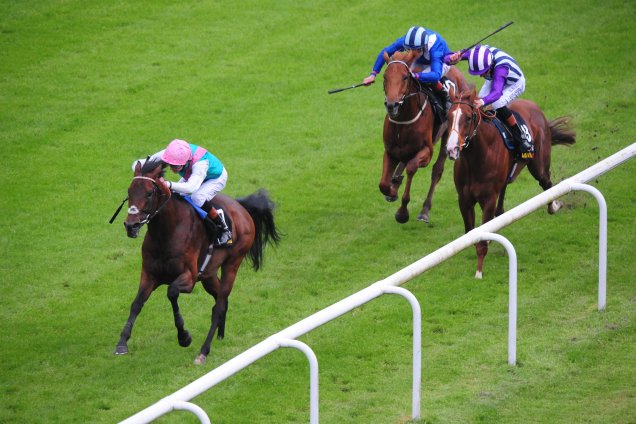 Kingman wins the Irish Guineas