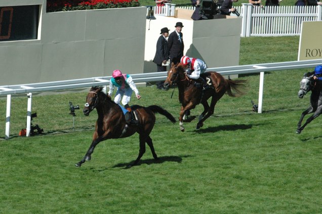 Kingman wins the St James's Palace Stakes