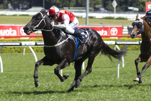 Kuro winning the Aristocrat Brian Crowley Stks