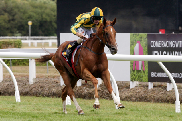 Lady Royale winning the J Swap Matamata Breeders' Stks