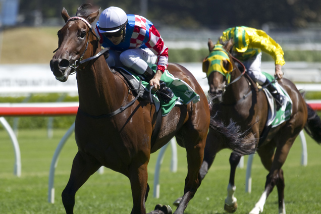 Laidback Larry one of the interesting runners at Caulfield on Saturday