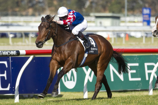 Laidback Larry fitted the criteria when successful at Rosehill on August 2.