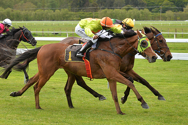 Langdon winning the Raukawa Cup (Bm85)