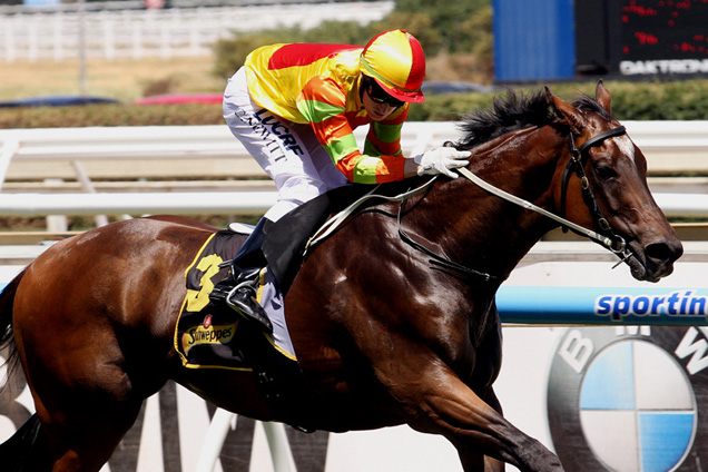 Lankan Rupee winning the Rubiton