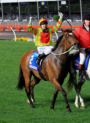 Lankan Rupee at his best