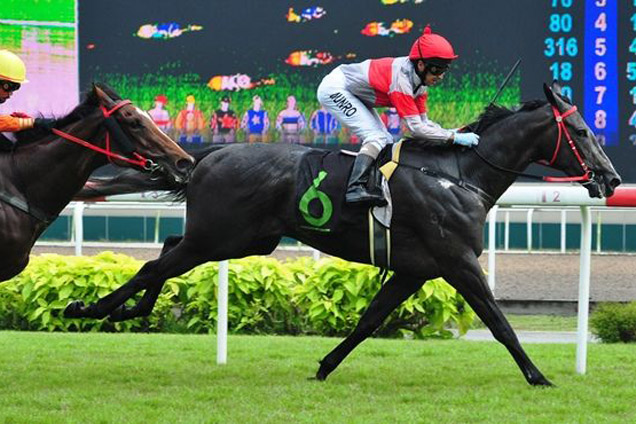 Lim's Greeting winning the RESTRICTED MAIDEN