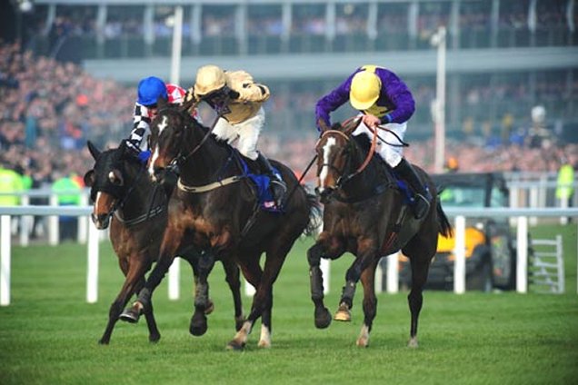 Lord Windermere winning the Betfred Cheltenham Gold Cup Chase.