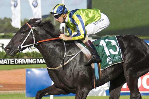 Vinery Stud Stakes Vinery Stud Stakes