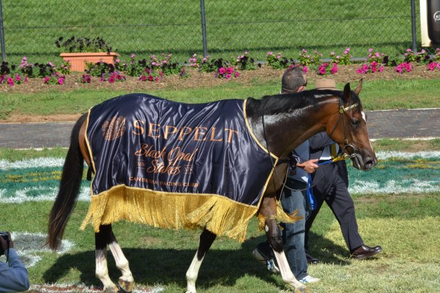 Lucky Raquie was too good in the Black Opal at Canberra