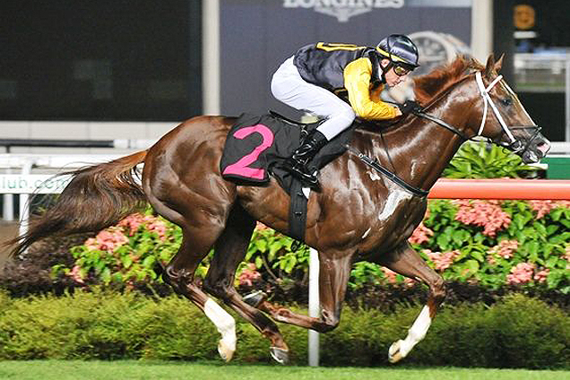 Group 1 performer Magneto looks well placed at Kranji on Friday night.