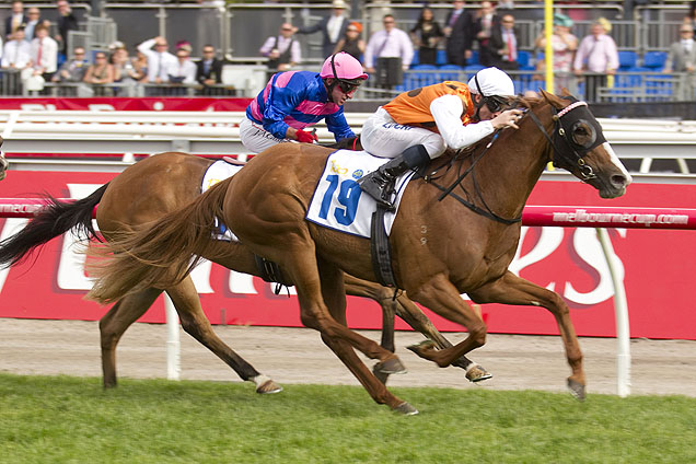 Mahara winning the The Hong Kong Jockey Club Stks