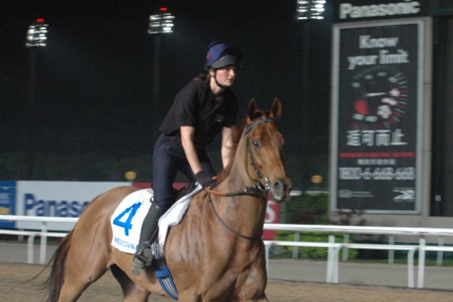 Medicean Man at Kranji Trackwork