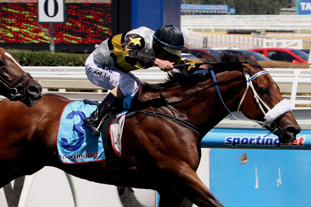 Moment of Change loved Caulfield