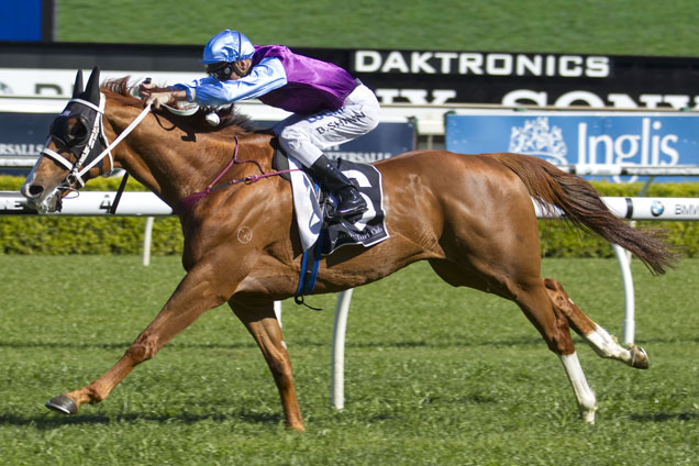 Mulaqen winning the City Tattersalls Club Cup