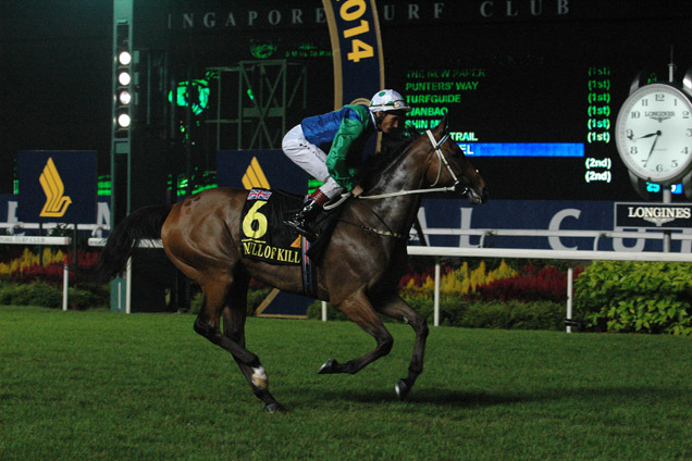 Mull Of Killough running in the SINGAPORE AIRLINES INTERNATIONAL CUP 2014