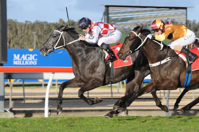 Multilateral on the way to winning the Wyong Cup.