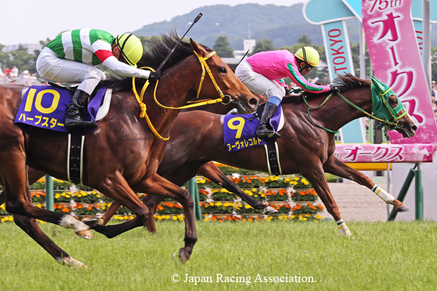 Nuovo Record winning the THE YUSHUN HIMBA (JAPANESE OAKS)(G1)