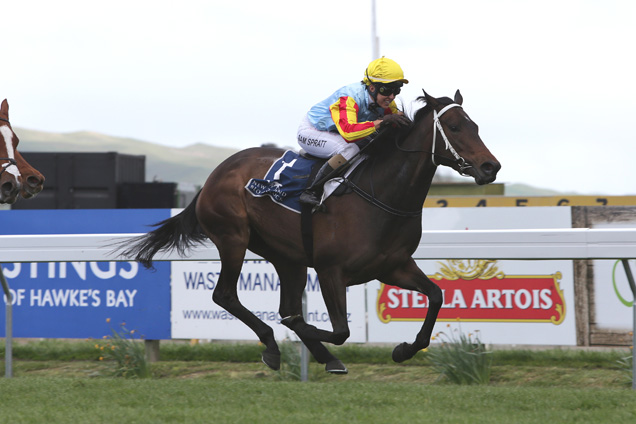 O'Marilyn winning H.Bay Breeders Gold Trail Stks