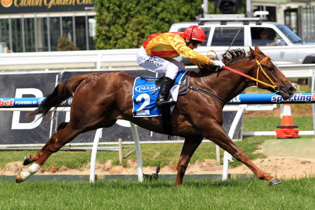 Of The Brave winning the Inglis Debutant Stakes