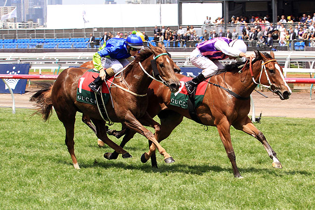 Onemorezeta wins the 2014 Gucci Stakes