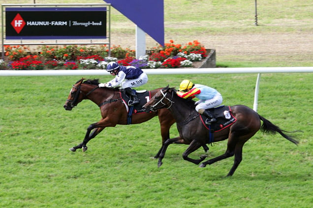 Our Vespa winning the Westbury Stud Challenge Stakes