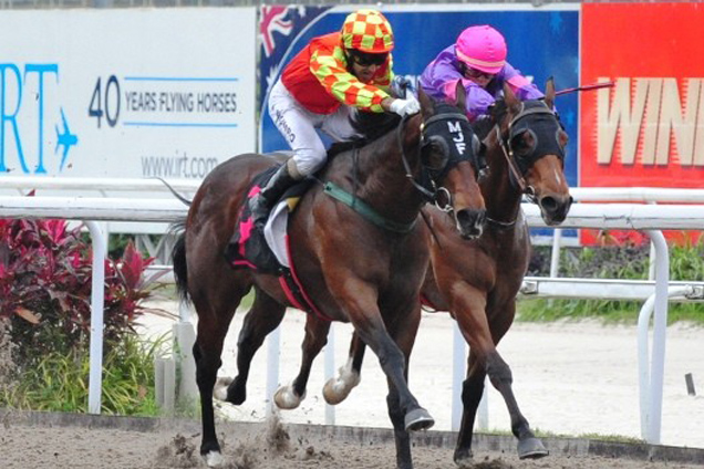 Alan Munro drives Peace No War to victory in Race 7 on Sunday.