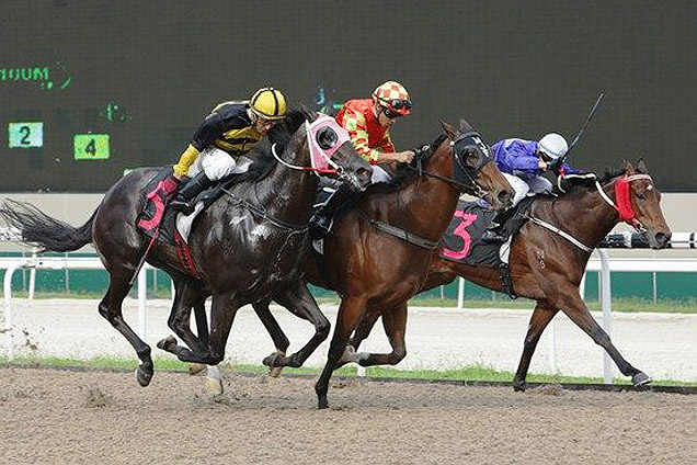 Peace No War (Nooresh Juglall, chequered cap) repels the challenge from Perfect Charger (Oscar Chavez, yellow cap with black seams) to get the money.