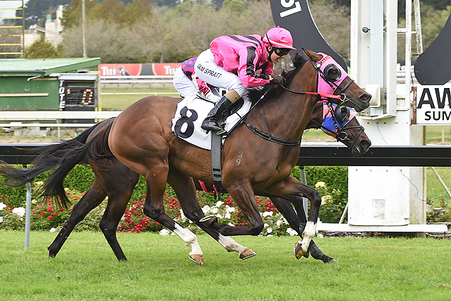 Perfect Start winning the McDonald's Manawatu Cup Prel.