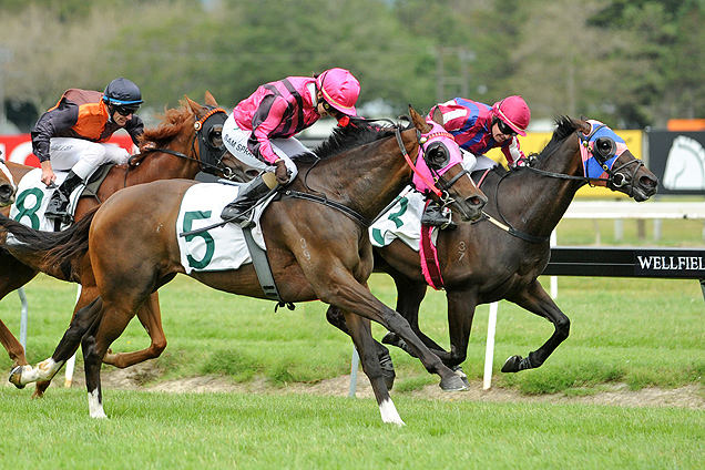 Perfect Start winning the Hotel Coachman Manawatu Cup.