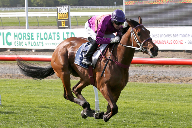 Platinum Witness winning the Armadillo Stakes.