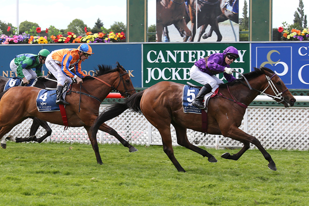 Platinum Witness winning the N Z Bloodstock 42nd 1000 Gneas