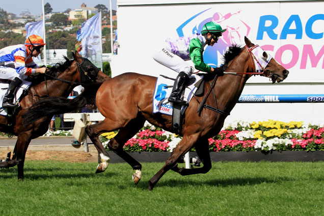 Prince Of Penzance winning the Racing.Com Moonee Valley Cup