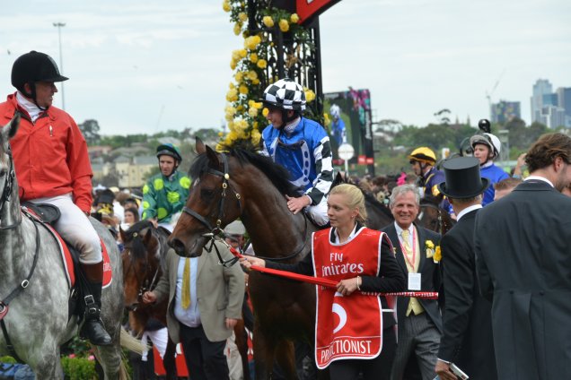 Protectionist parading on 04 Nov, 2014 after winning the Melbourne Cup